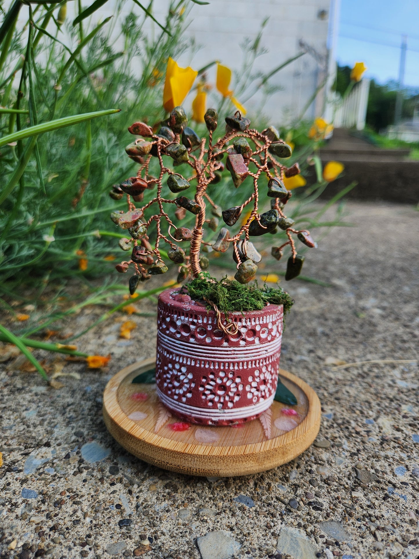 Emberroot