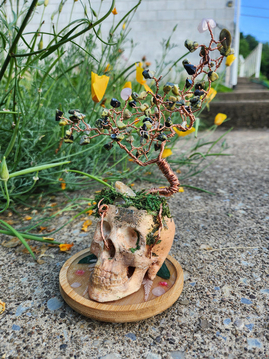 The Mind's Garden